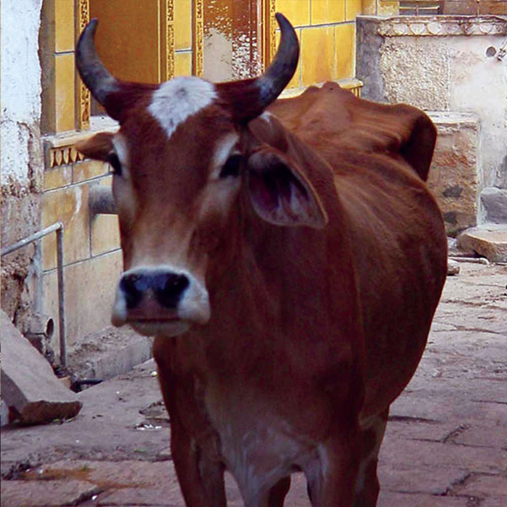 ““