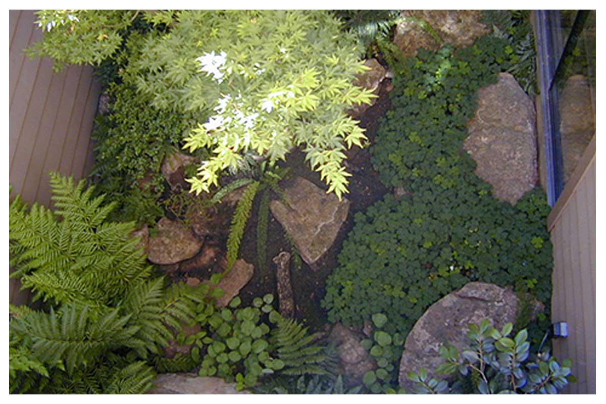 Turner Fine Gardens