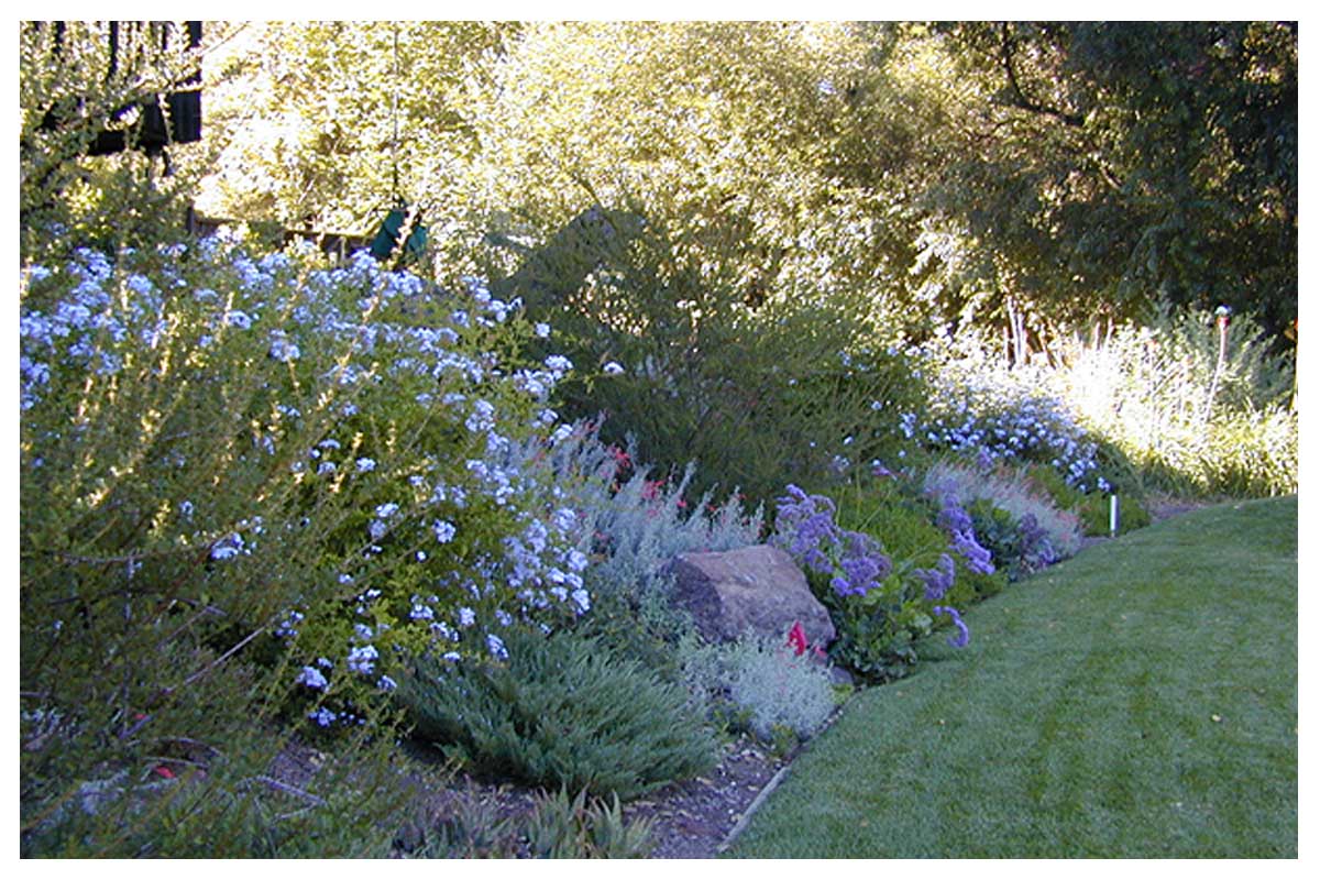 Turner Fine Gardens