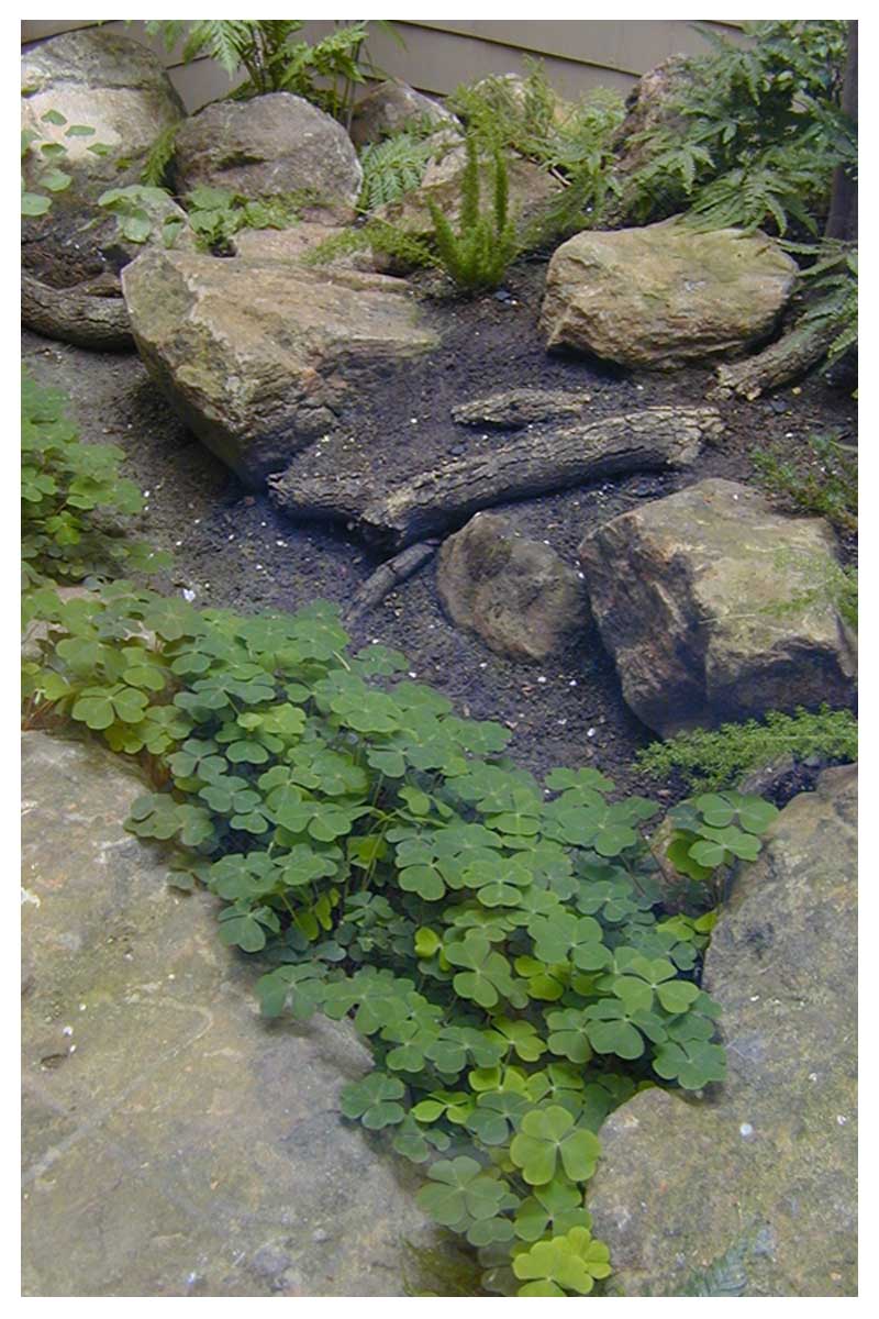 Turner Fine Gardens