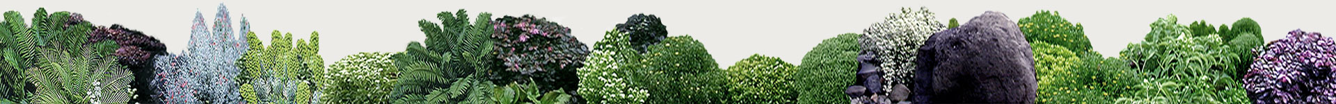 Turner Fine Gardens